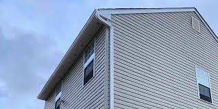 Best Vinyl Siding Installation  in Loughman, FL